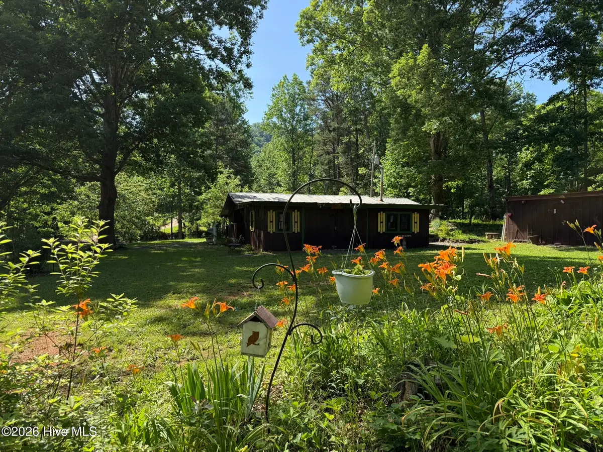 86 Alpaca Lane, Murphy, NC 28906 - #1