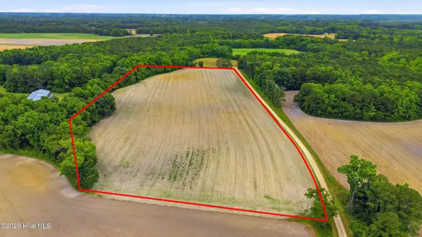 Tbd Pig Palace Lane, Council, NC 28434