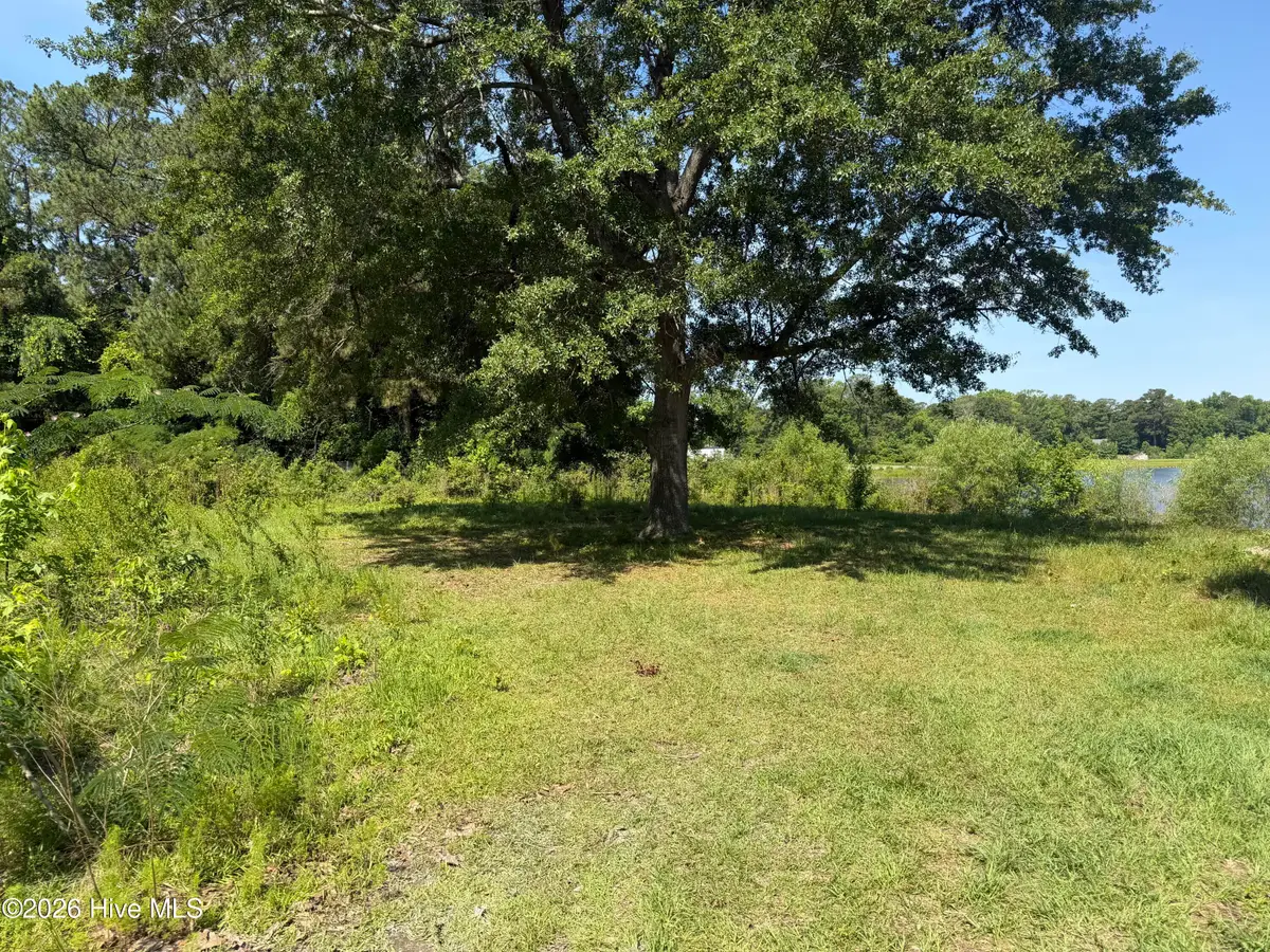 2078 Catherine Lake Road, Richlands, NC 28574 - #1