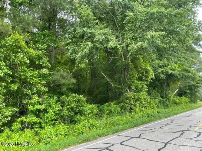 Tbd Point Caswell Road, Watha, NC 28478 - #3