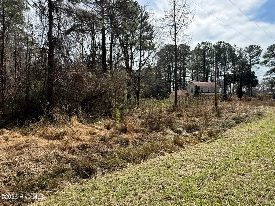 269 Creek Road, Bath, NC 27808 - #3