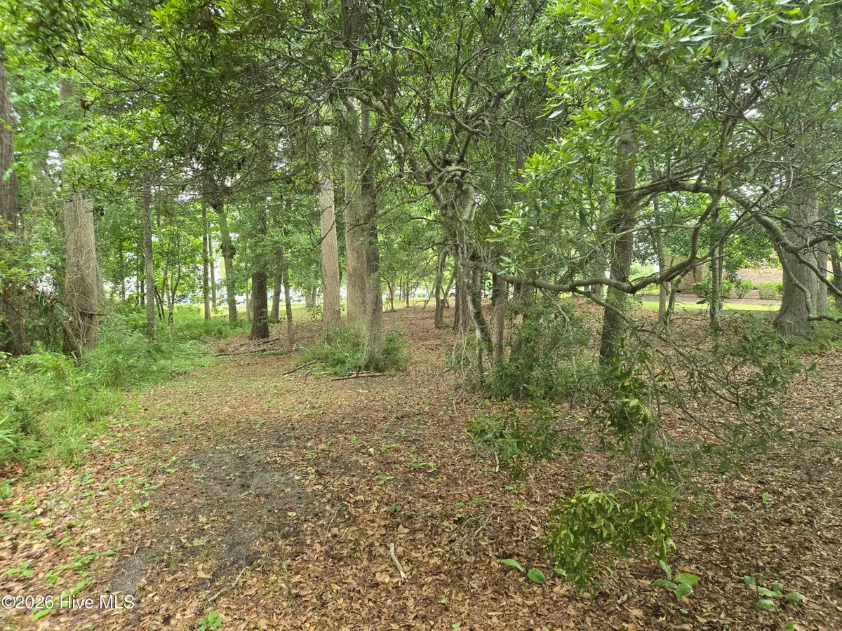1330 Forest Creek Road, Sunset Beach, NC 28468 - #1