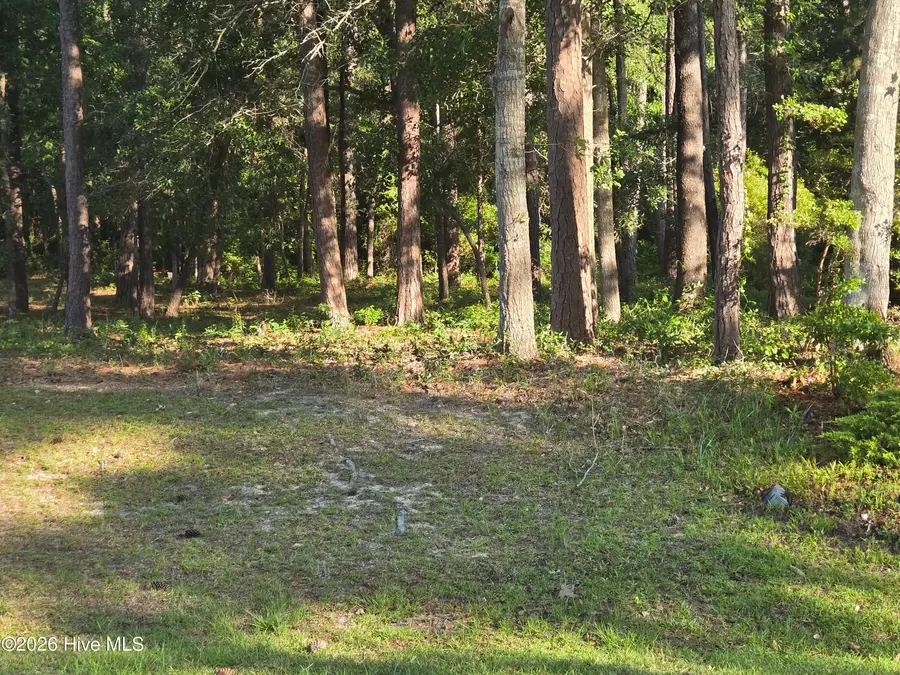3840 Timber Stream Drive, Southport, NC 28461 - #2