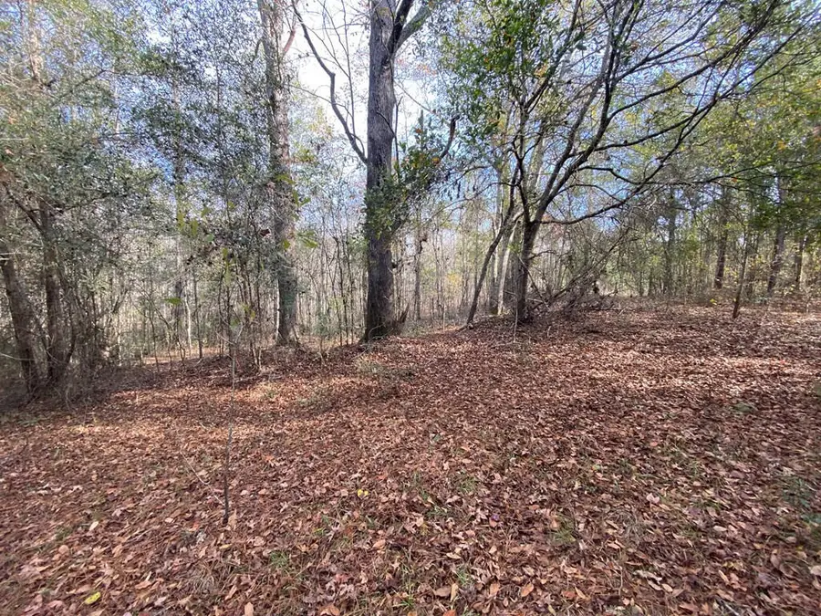 Lot 14 Robin Boulevard, Swainsboro, GA 30401 - #3
