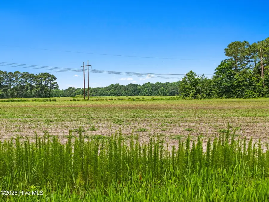 0 Boggy Branch Road, Council, NC 28434 - #3