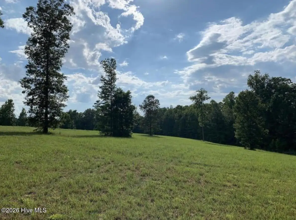 321 Whistle Hill Road, Cameron, NC 28326 - #1