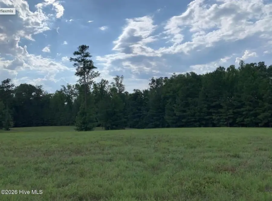321 Whistle Hill Road, Cameron, NC 28326 - #2