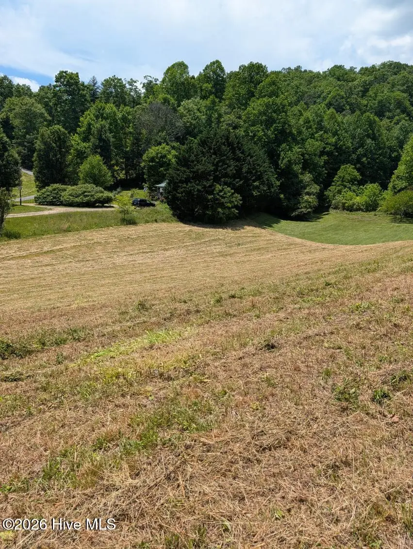 1 Henry Moss Lane, Marble, NC 28905 - #1