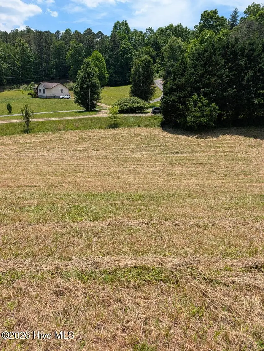 1 Henry Moss Lane, Marble, NC 28905 - #2