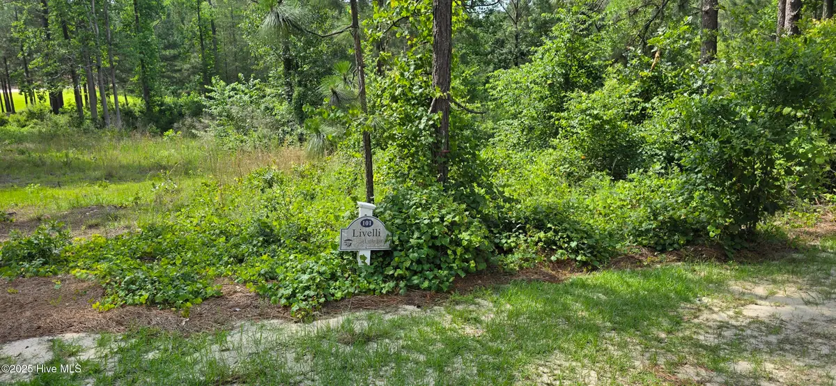 101 Owens Circle, Seven Lakes, NC 27376 - #1
