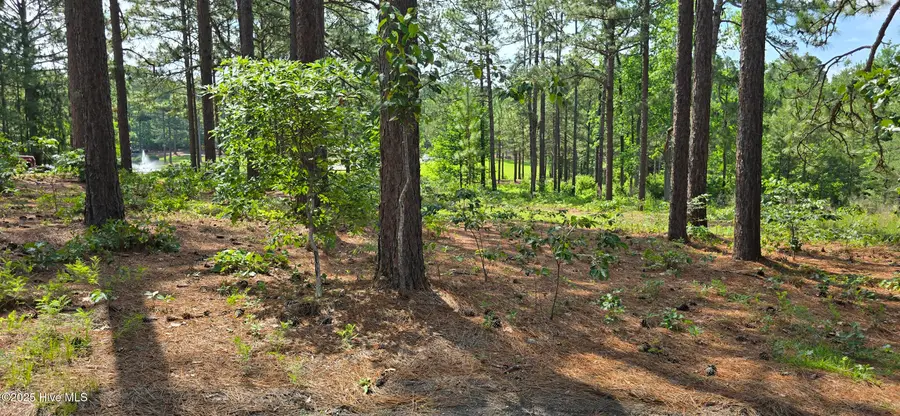 101 Owens Circle, Seven Lakes, NC 27376 - #2