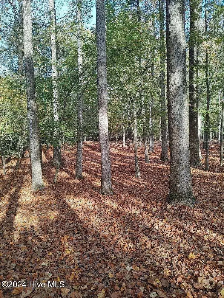 104 Gambit Court, Washington, NC 27889 - #2