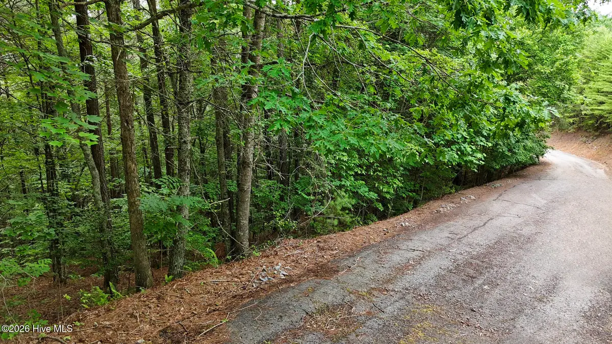 104,105 Choctaw Ridge Trail, Murphy, NC 28906 - #1