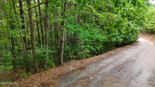 104,105 Choctaw Ridge Trail, Murphy, NC 28906
