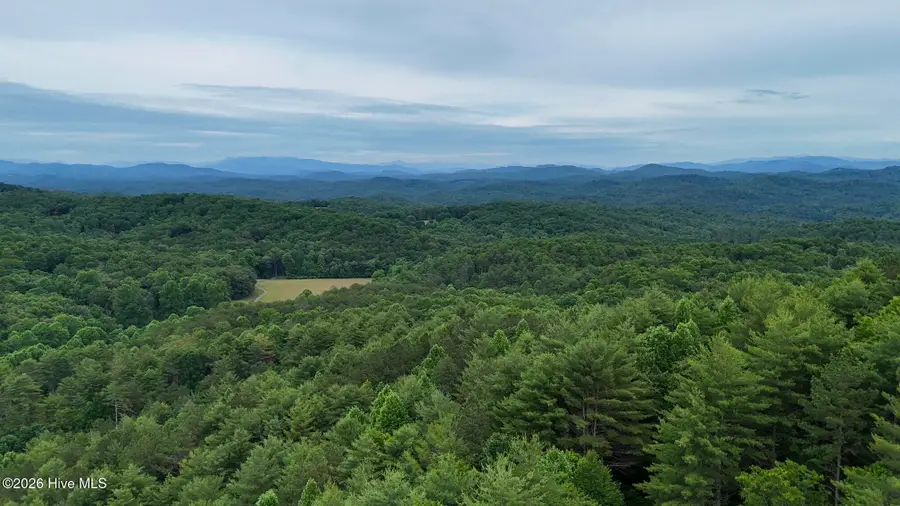 104,105 Choctaw Ridge Trail, Murphy, NC 28906 - #2