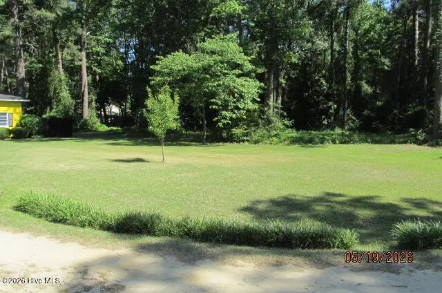 584 N 3rd Street, Saint Pauls, NC 28384 - #3