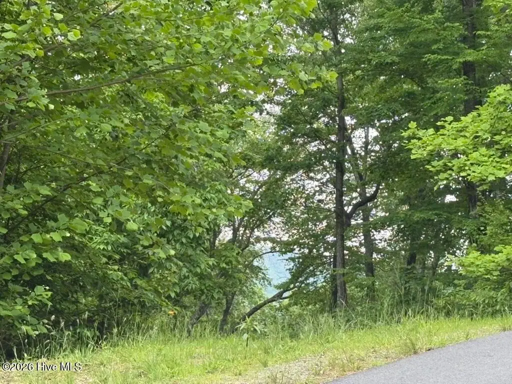 Address Withheld By Seller, Hayesville, NC 28904 - #1