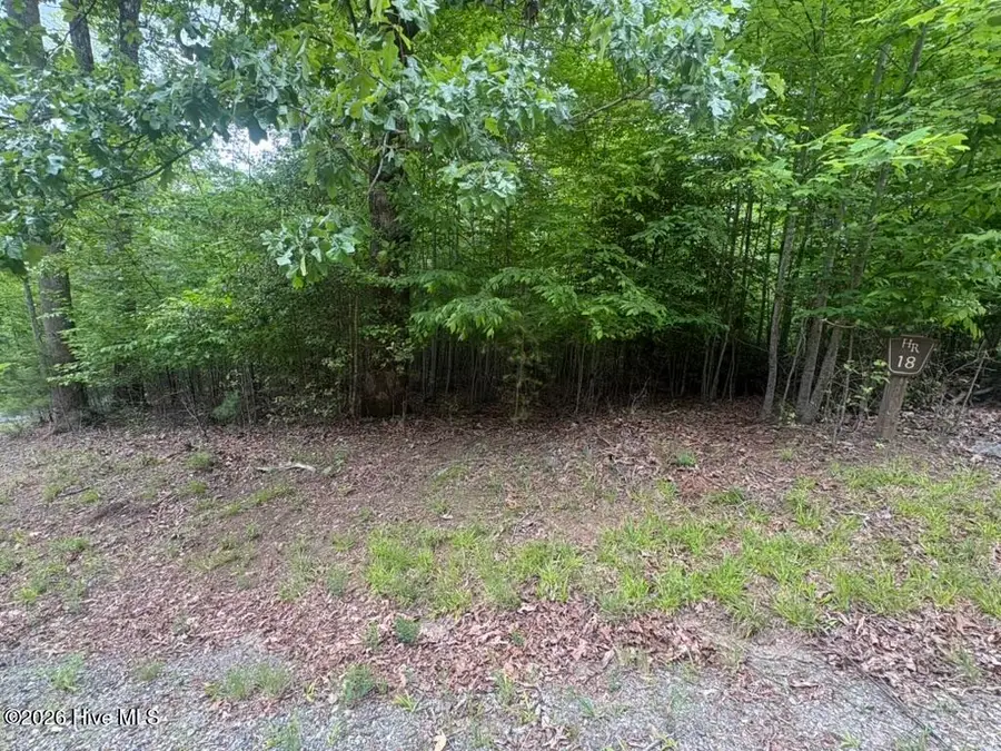 Address Withheld By Seller, Hayesville, NC 28904 - #3