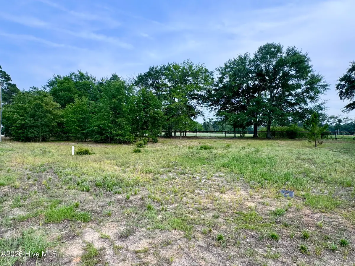 12340 Mallard Creek Drive, Laurinburg, NC 28352 - #1