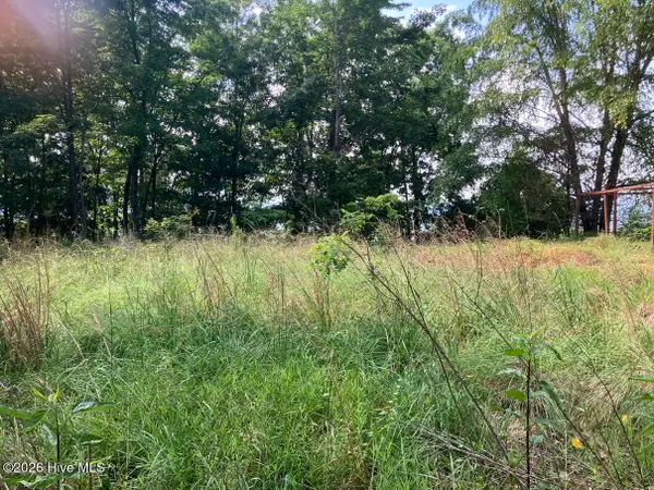 Lot 51 Buck Ridge Drive, Murphy, NC 28906