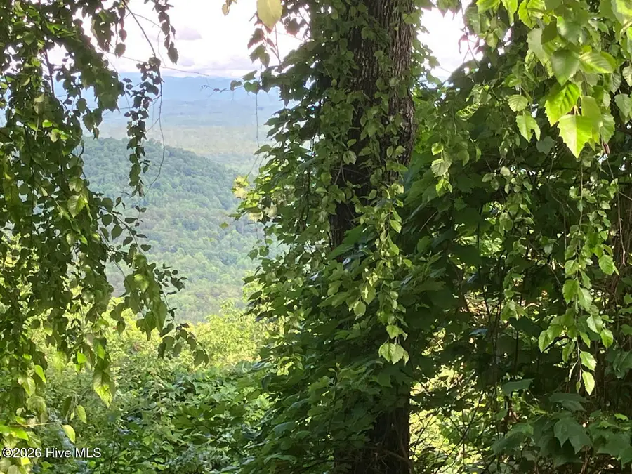 Lot 51 Buck Ridge Drive, Murphy, NC 28906 - #2