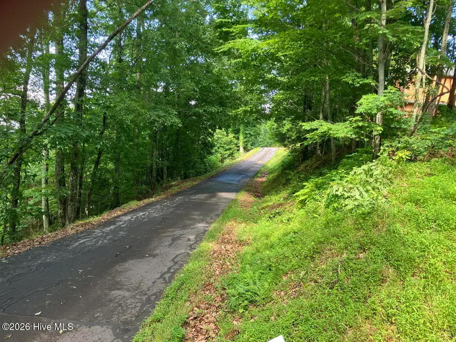 Lot 51 Buck Ridge Drive, Murphy, NC 28906 - #3
