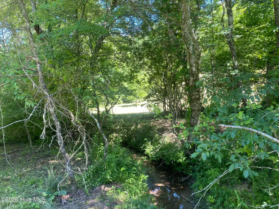 Lot 7 Running Bear Road, Murphy, NC 28906 - #2