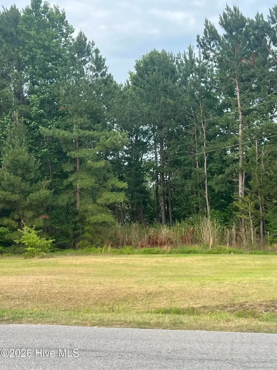 508 Strickland Drive, Princeville, NC 27886 - #2