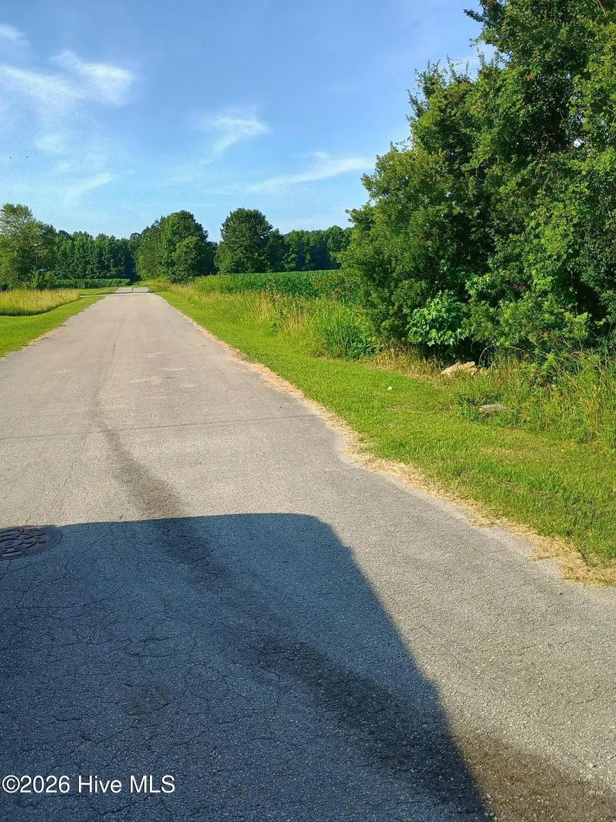 289 Grists Road, Chadbourn, NC 28431 - #3