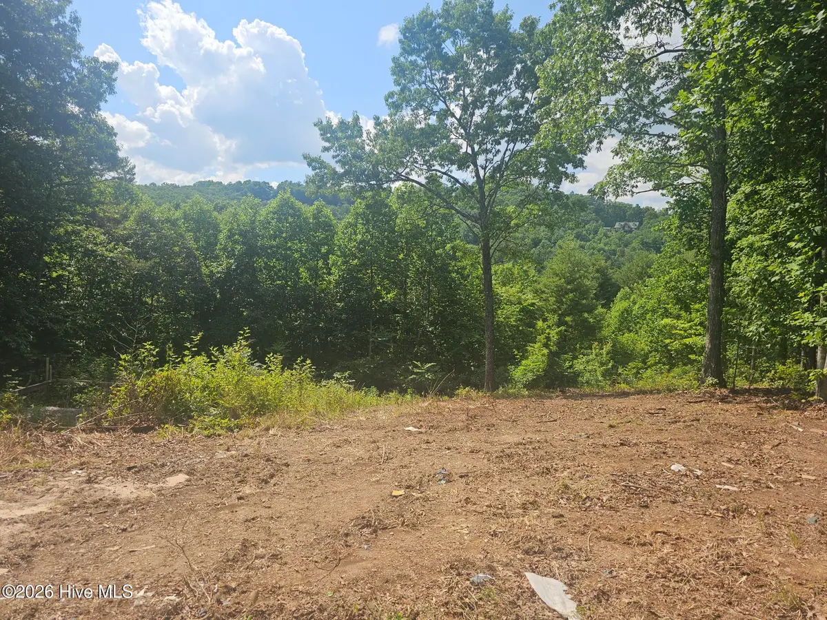 45 Meadowlark Terrace, Murphy, NC 28906 - #1