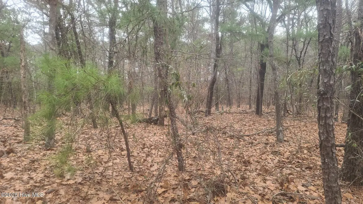 Tbd Union Church Road, Carthage, NC 28327 - #1
