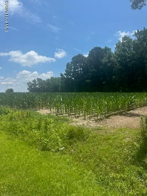 Near 721 Joe Piver Road, Chadbourn, NC 28431