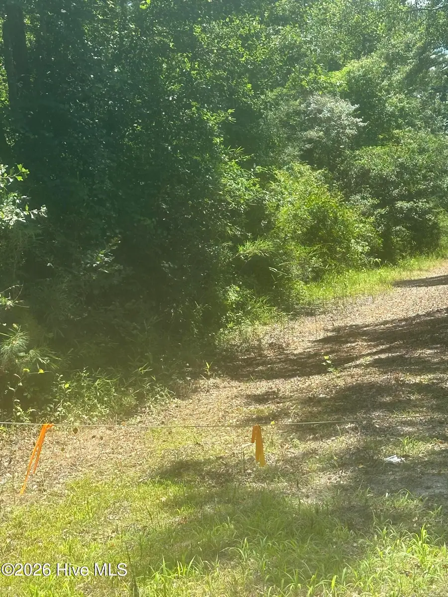 Near 721 Joe Piver Road, Chadbourn, NC 28431 - #3