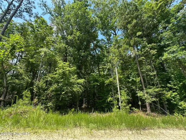 Lot 17 Lakeshore Estates Drive, Lincolnton, GA 30817
