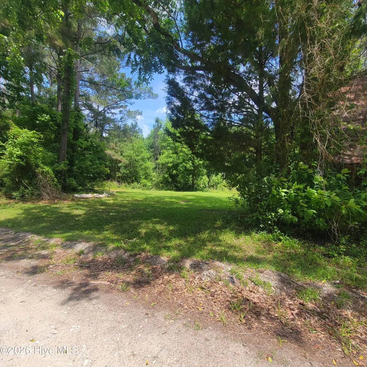 Tract 3 Old Blakes Bridge Road, Burgaw, NC 28425 - #1