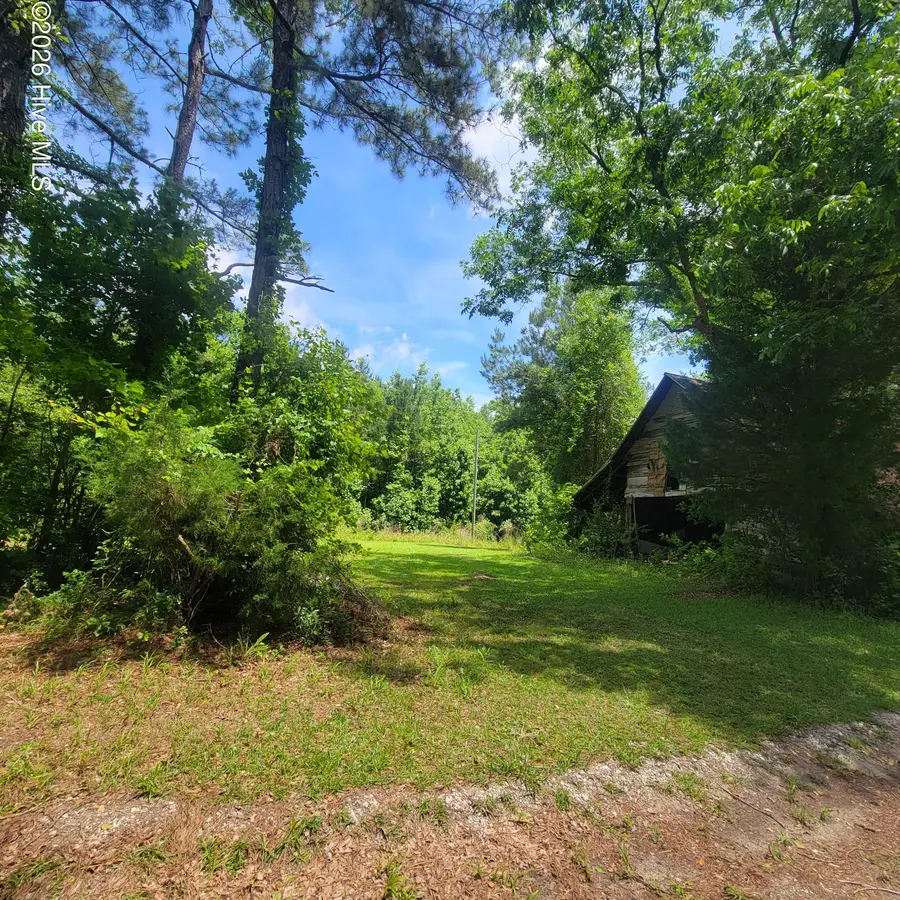 Tract 3 Old Blakes Bridge Road, Burgaw, NC 28425 - #2