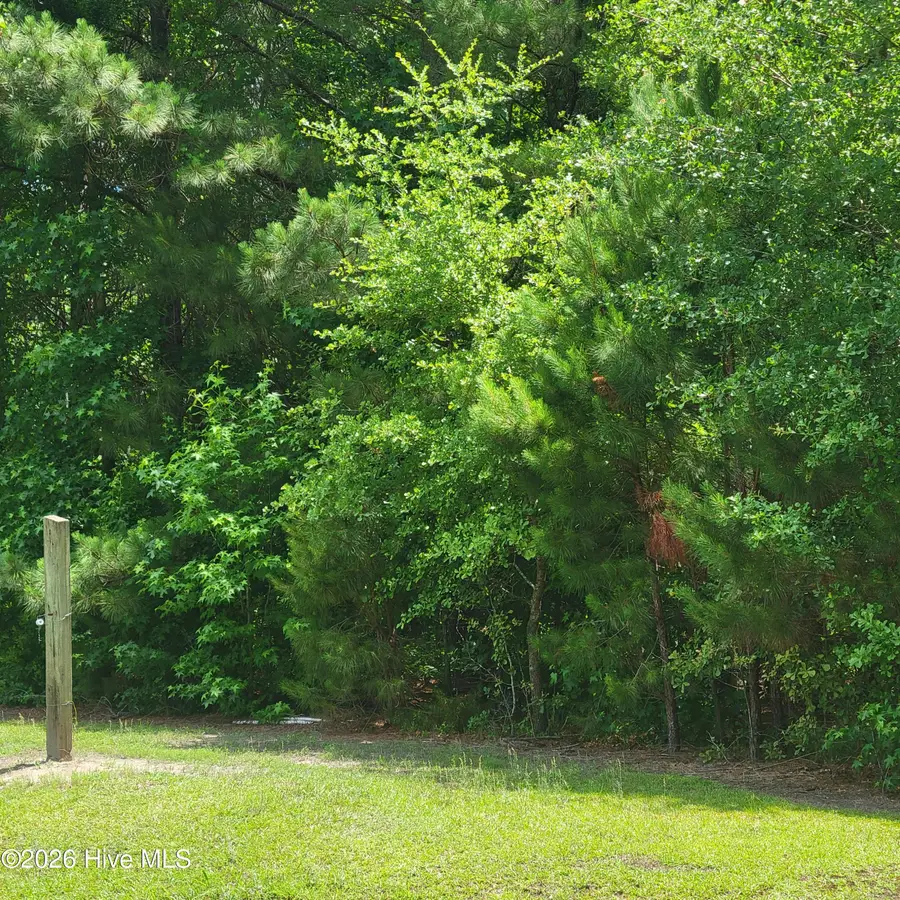 Tract 3 Old Blakes Bridge Road, Burgaw, NC 28425 - #3