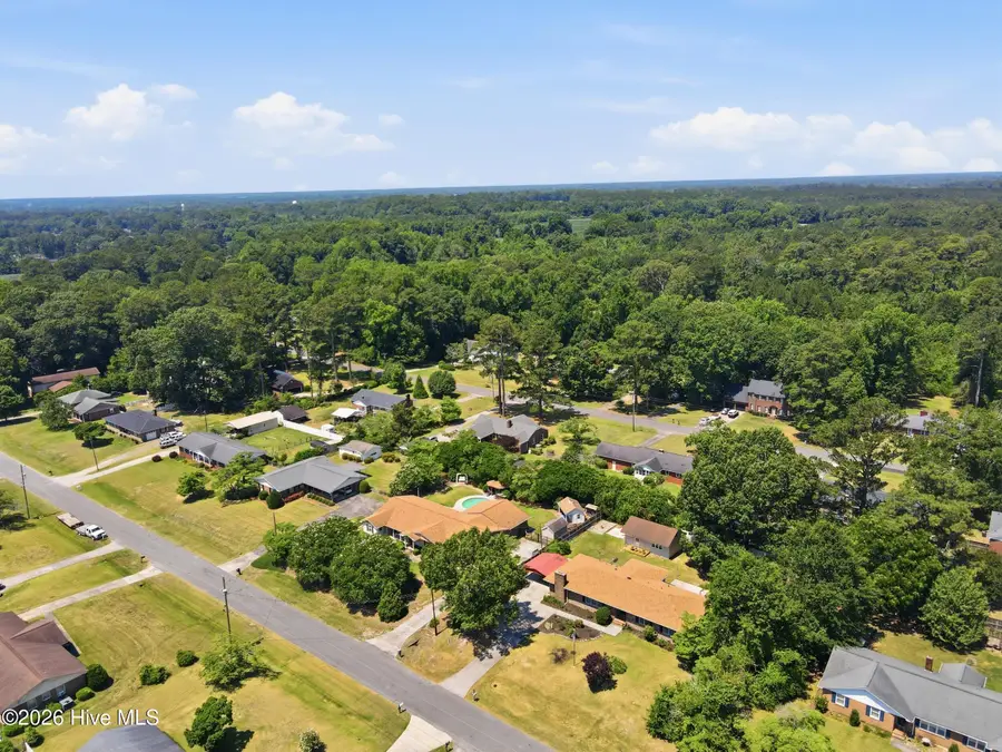 6364 Niblick Road, Grifton, NC 28530 - #3