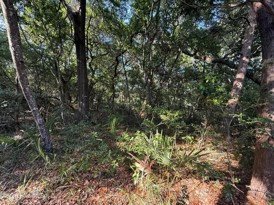 207 Stede Bonnet Wynd, Bald Head Island, NC 28461 - #3
