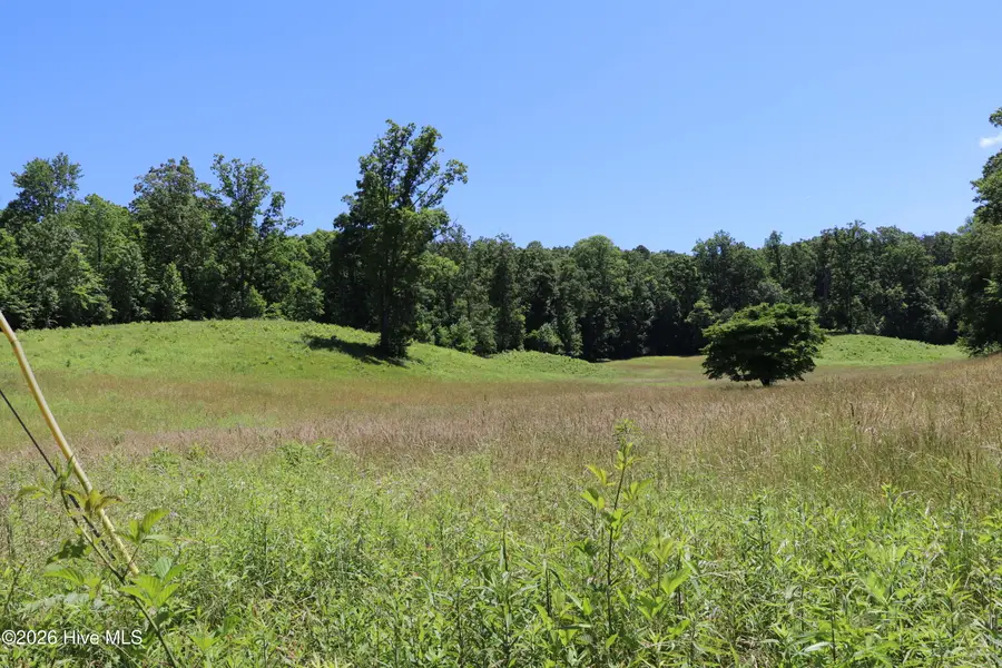 55,56,96 Daylily Drive, Marble, NC 28905 - #3