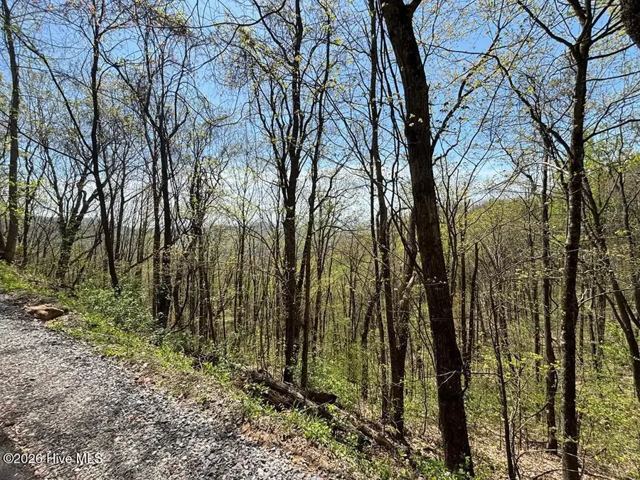 Lot 4 Outlook Road, Murphy, NC 28906 - #2