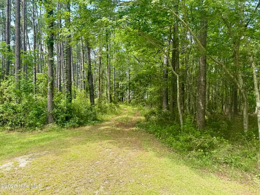 558 Sandy Point Drive, Beaufort, NC 28516 - #3