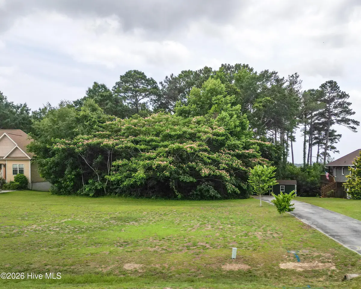 131 Deepwater Drive, Stella, NC 28582 - #1