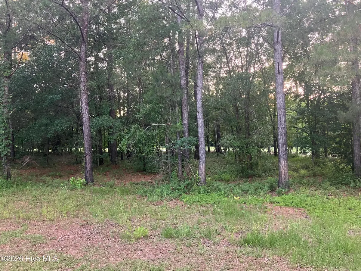 112 Riverstone Run Drive, Wallace, NC 28466 - #1