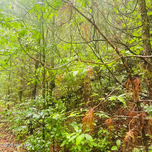 Lot 20 Owl Bluff, Murphy, NC 28906