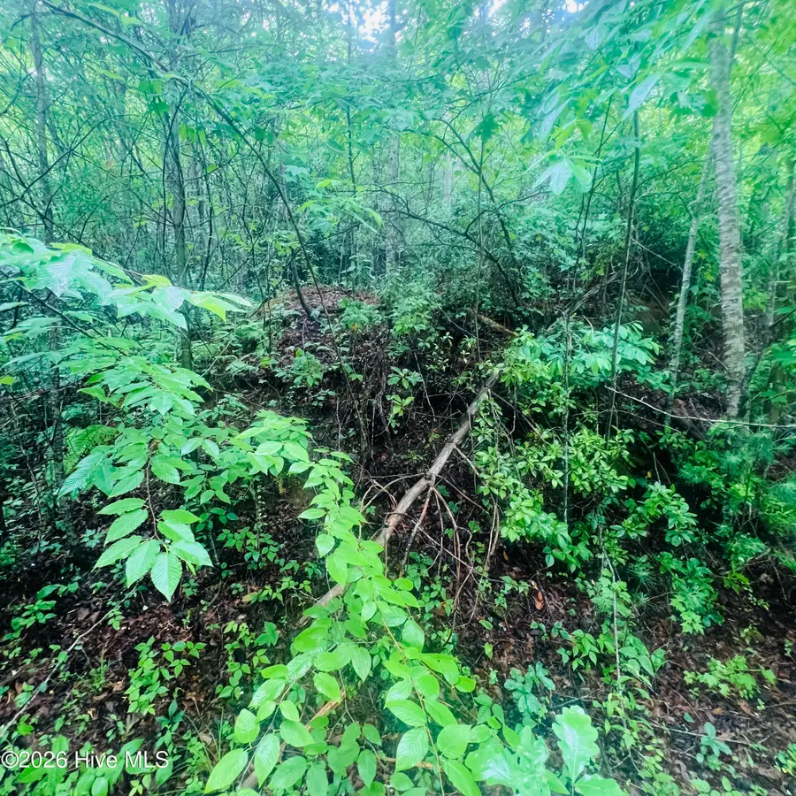 Lot 20 Owl Bluff, Murphy, NC 28906 - #2
