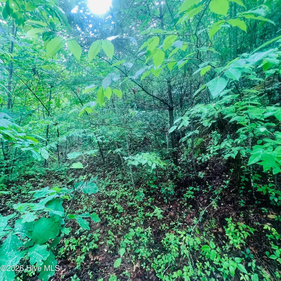 Lot 20 Owl Bluff, Murphy, NC 28906 - #3