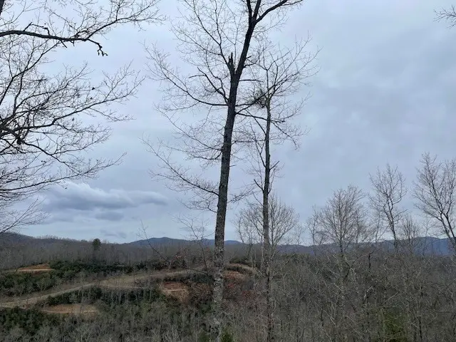 41 Mystic Ridge Way W, Topton, NC 28781 - #2