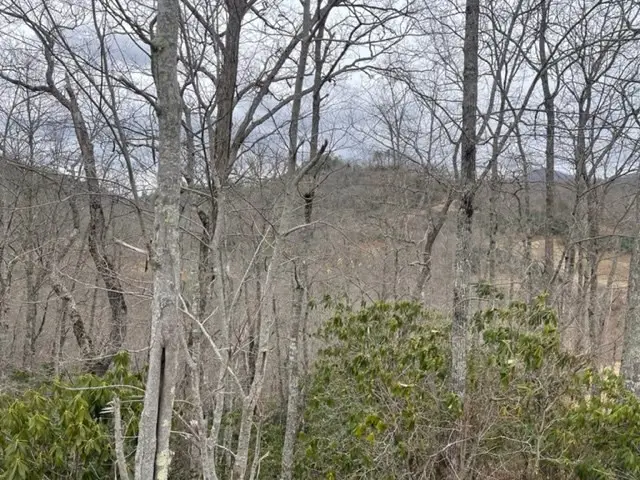 41 Mystic Ridge Way W, Topton, NC 28781 - #3