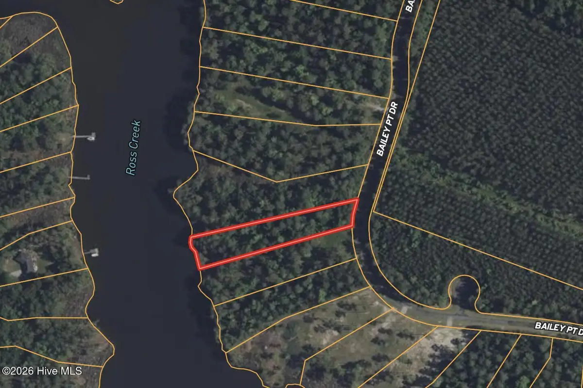 87 Bailey Pointe Drive, Belhaven, NC 27810 - #1